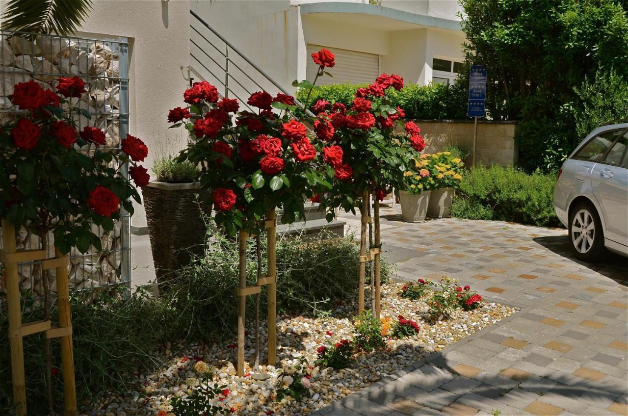 Diana Apartment